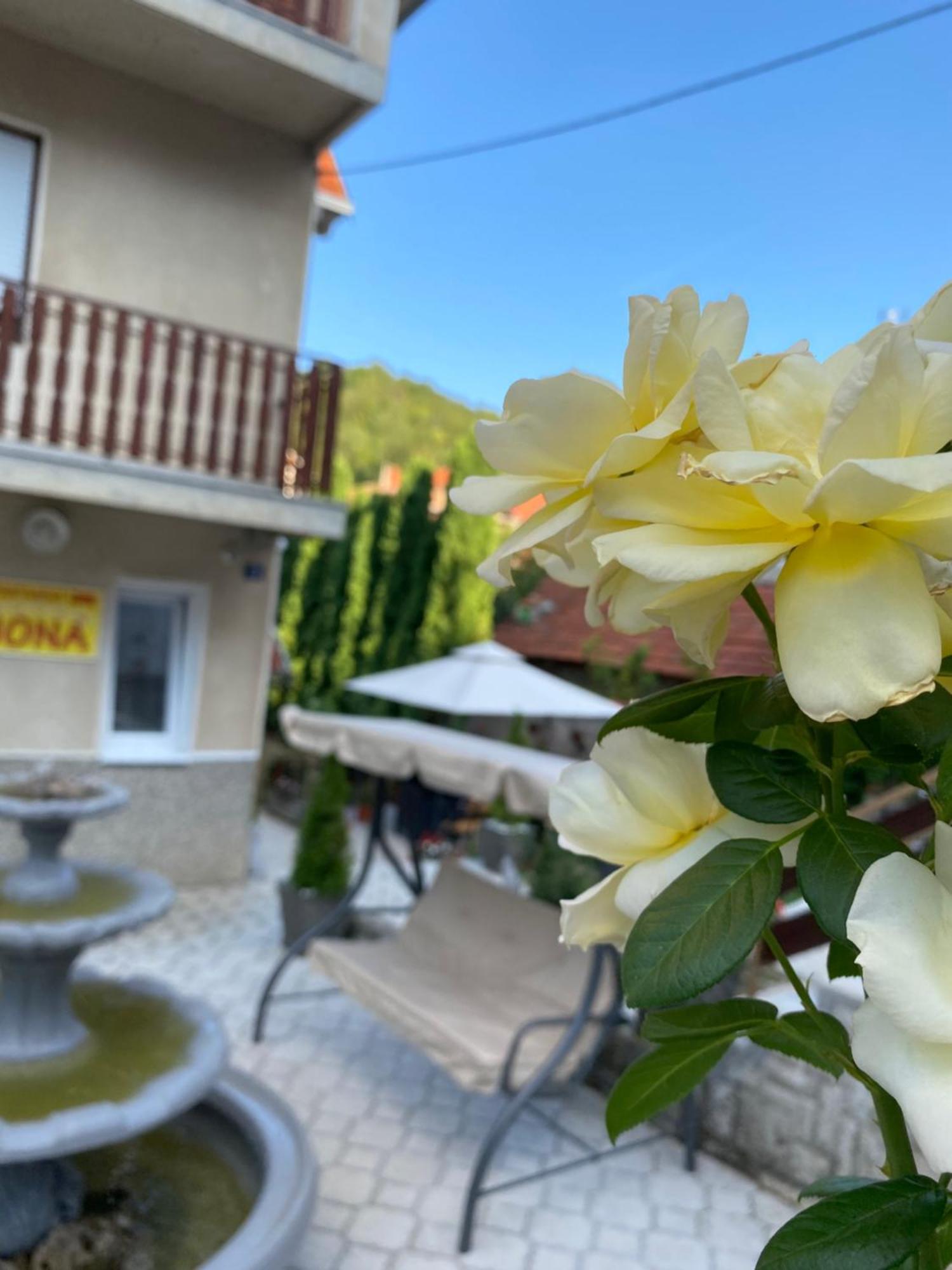 Apartamento de 64 m2, 2 quarto(s) e 1 banheiro(s) em Tutunovic Podrum Nis Exterior foto