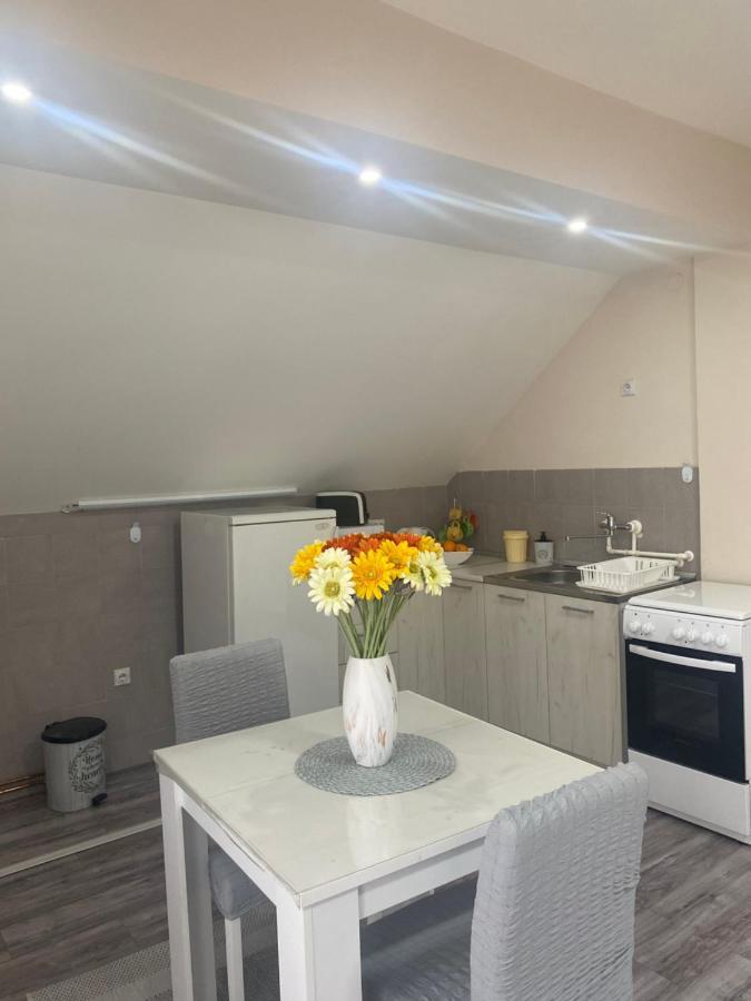 Apartamento de 64 m2, 2 quarto(s) e 1 banheiro(s) em Tutunovic Podrum Nis Exterior foto